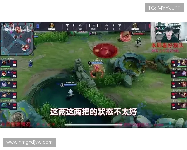 《探索Cat 王者背后的世界：英雄人物与精彩对战一网打尽》