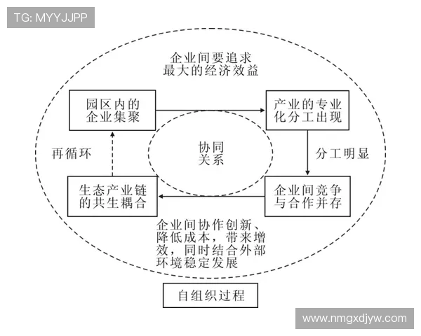 全球电竞职业联赛发展现状与未来趋势分析及产业生态构建路径研究 全球电竞职业联赛发展现状与未来趋势分析及产业生态构建路径研究