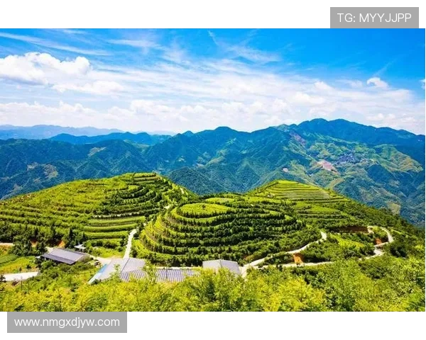 宁波町渥城市更新与产业融合发展新格局探索研究 宁波町渥城市更新与产业融合发展新格局探索研究
