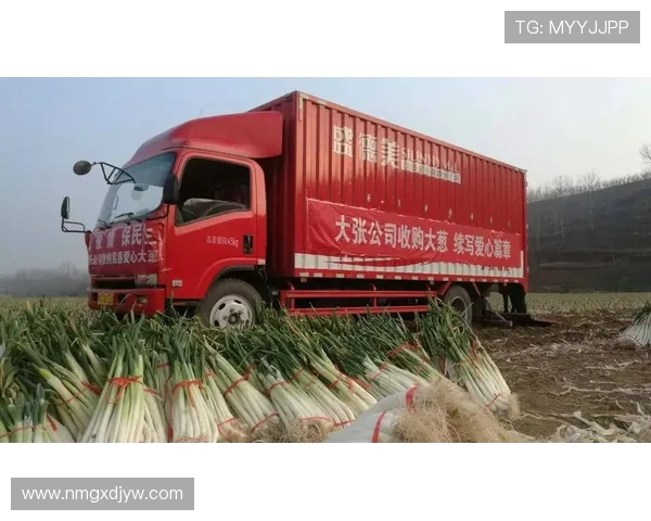 常州天山石化战队勇攀高峰 助力石化行业发展新篇章 常州天山石化战队勇攀高峰 助力石化行业发展新篇章