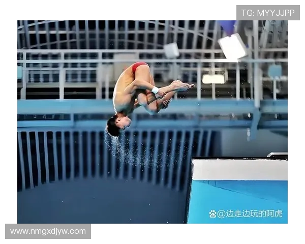 施廷懋用坚韧与荣耀诠释中国跳水精神的辉煌历程