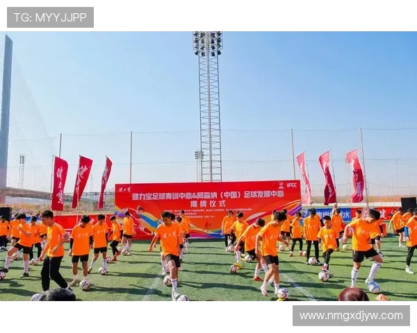 从国际赛事到青训体系全面解析当代足球竞技与产业发展新趋势全貌