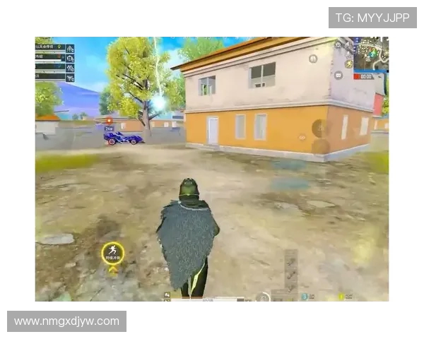 和平精英巨献：深入解析FPX团队在比赛中的耐力与策略表现