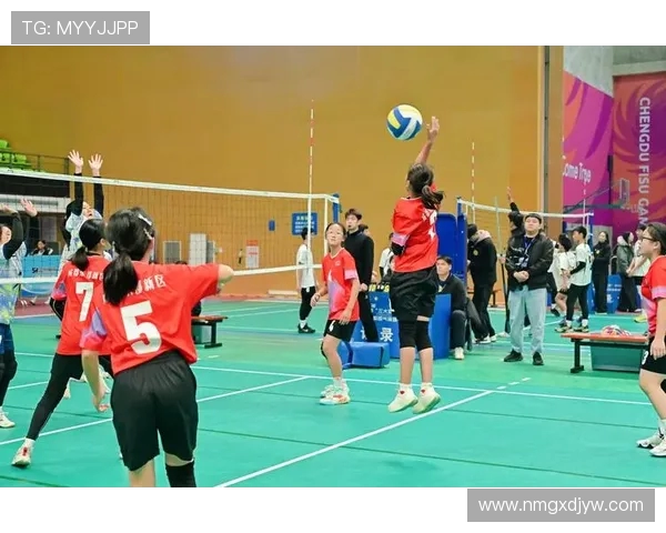 成都排球队的逆袭之路：从默默无闻到全国瞩目的辉煌历程