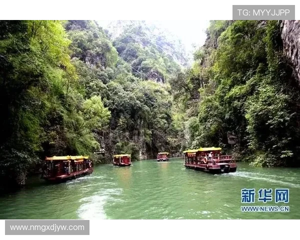 重庆极限运动队的力量变革引发热议与关注的全新篇章