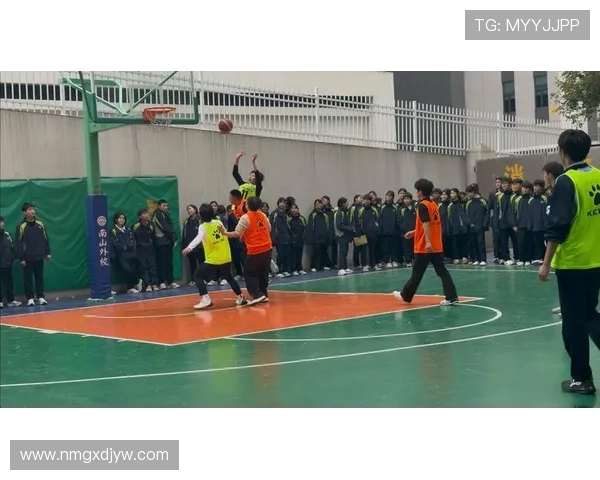 以篮球为纽带探索团队协作与青春激情融合的无限可能