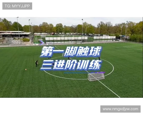 全球足球格局演变与青训体系推动未来竞技水平提升的未来走向 全球足球格局演变与青训体系推动未来竞技水平提升的未来走向