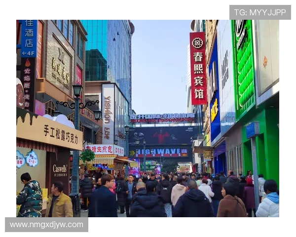 千叶市与东京的魅力对比探讨城市生活与文化差异